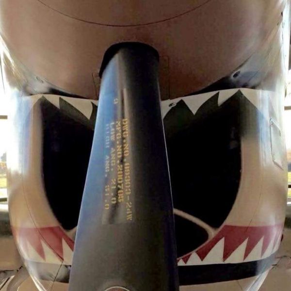 Curtiss P-40K Warhawk (1)