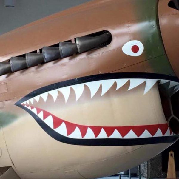 Curtiss P-40K Warhawk (14)