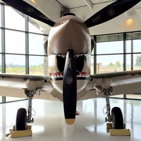 Curtiss P-40K Warhawk (17)