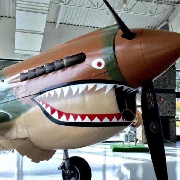 Curtiss P-40K Warhawk (2)