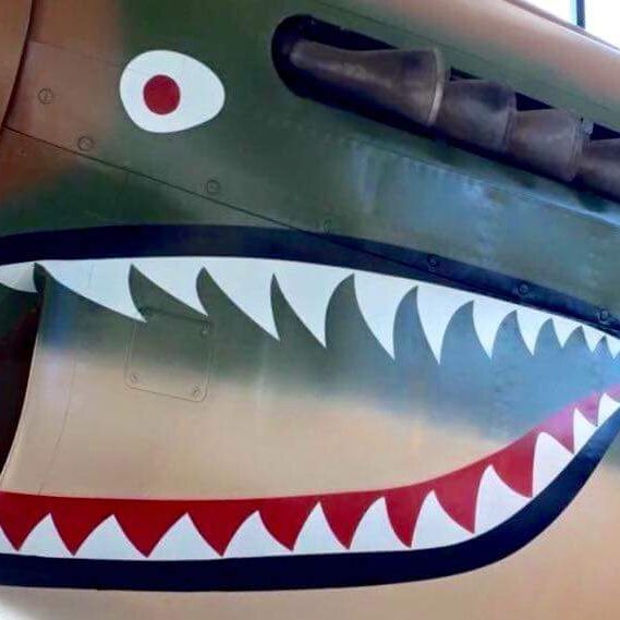 Curtiss P-40K Warhawk (22)
