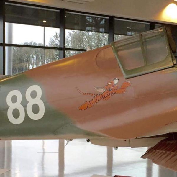 Curtiss P-40K Warhawk (5)