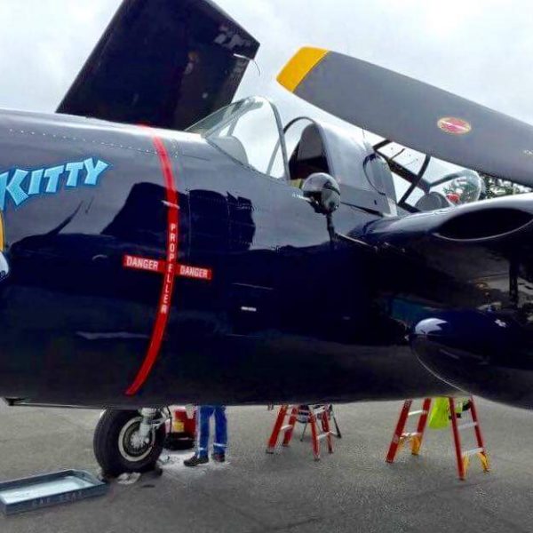 Grumman F7F-3P Tigercat Bad Kitty (11)