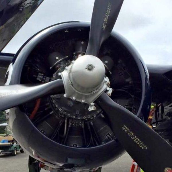 Grumman F7F-3P Tigercat Bad Kitty (15)