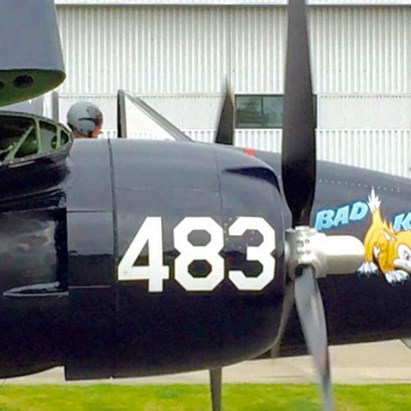 Grumman F7F-3P Tigercat Bad Kitty (17)