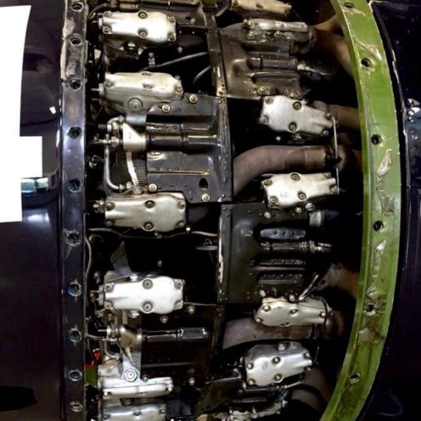 Grumman F7F-3P Tigercat Bad Kitty (21)