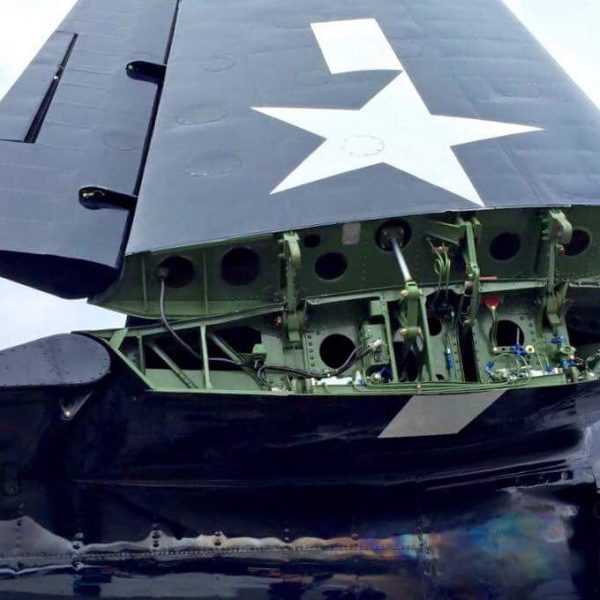 Grumman F7F-3P Tigercat Bad Kitty (34)