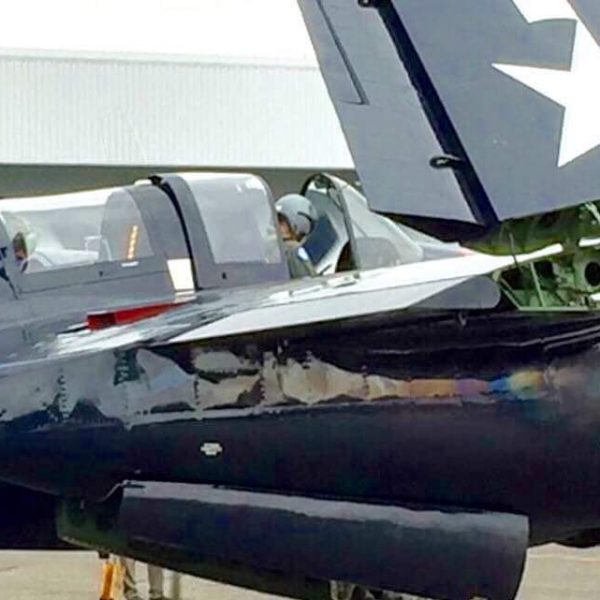 Grumman F7F-3P Tigercat Bad Kitty (41)