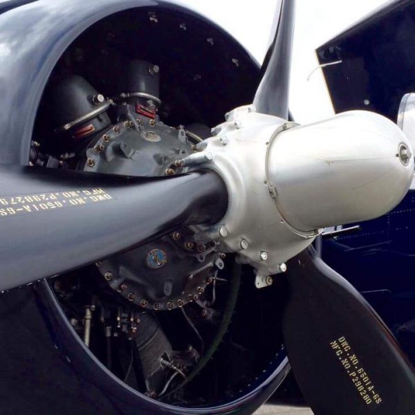 Grumman F7F-3P Tigercat Bad Kitty (42)
