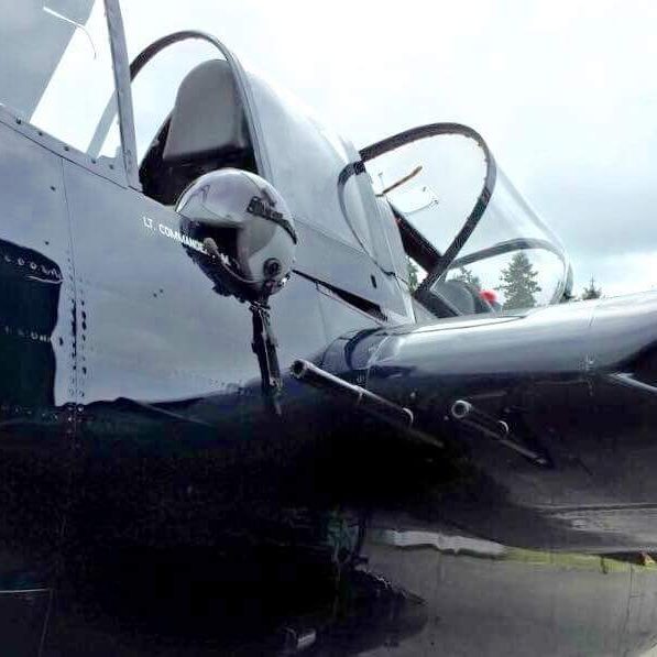 Grumman F7F-3P Tigercat Bad Kitty (46)