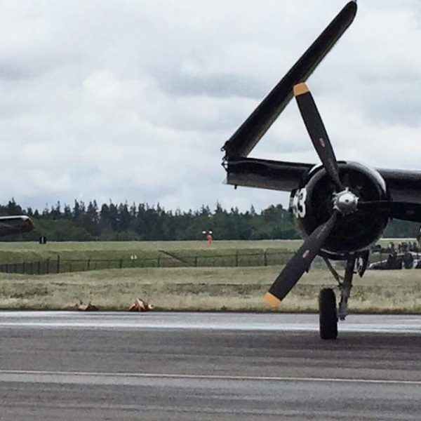 Grumman F7F-3P Tigercat Bad Kitty (63)