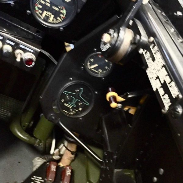Grumman F7F-3P Tigercat Bad Kitty (65)