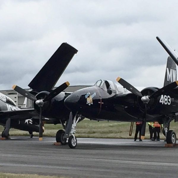 Grumman F7F-3P Tigercat Bad Kitty (66)
