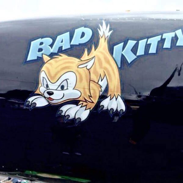 Grumman F7F-3P Tigercat Bad Kitty (68)