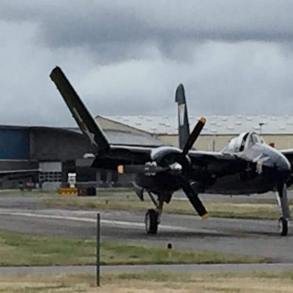 Grumman F7F-3P Tigercat Bad Kitty (70)