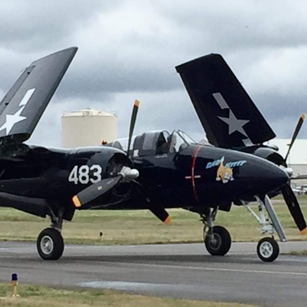 Grumman F7F-3P Tigercat Bad Kitty (73)