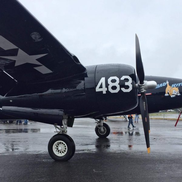Grumman F7F-3P Tigercat Bad Kitty (74)