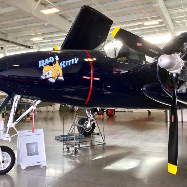 Grumman F7F-3P Tigercat Bad Kitty (80)