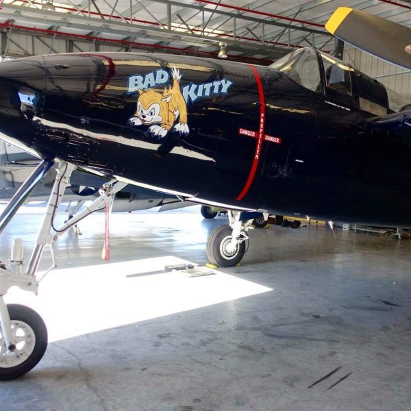 Grumman F7F-3P Tigercat Bad Kitty (94)