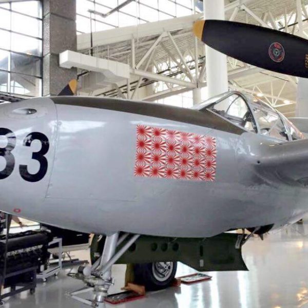 Lockheed P-38L Lightning (13)