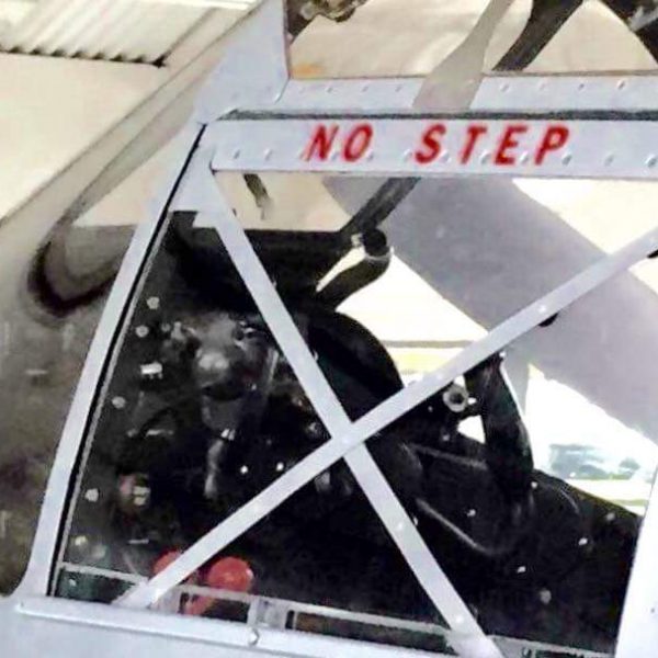 Lockheed P-38L Lightning (30)